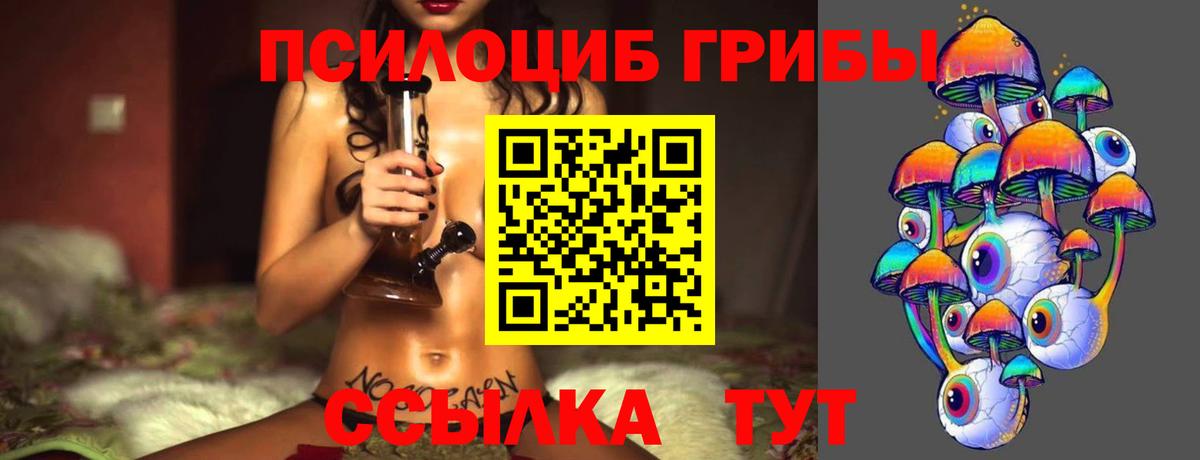 Усть-Джегута  Псилоцибиновые грибы мухоморы  Вход с VPN 
